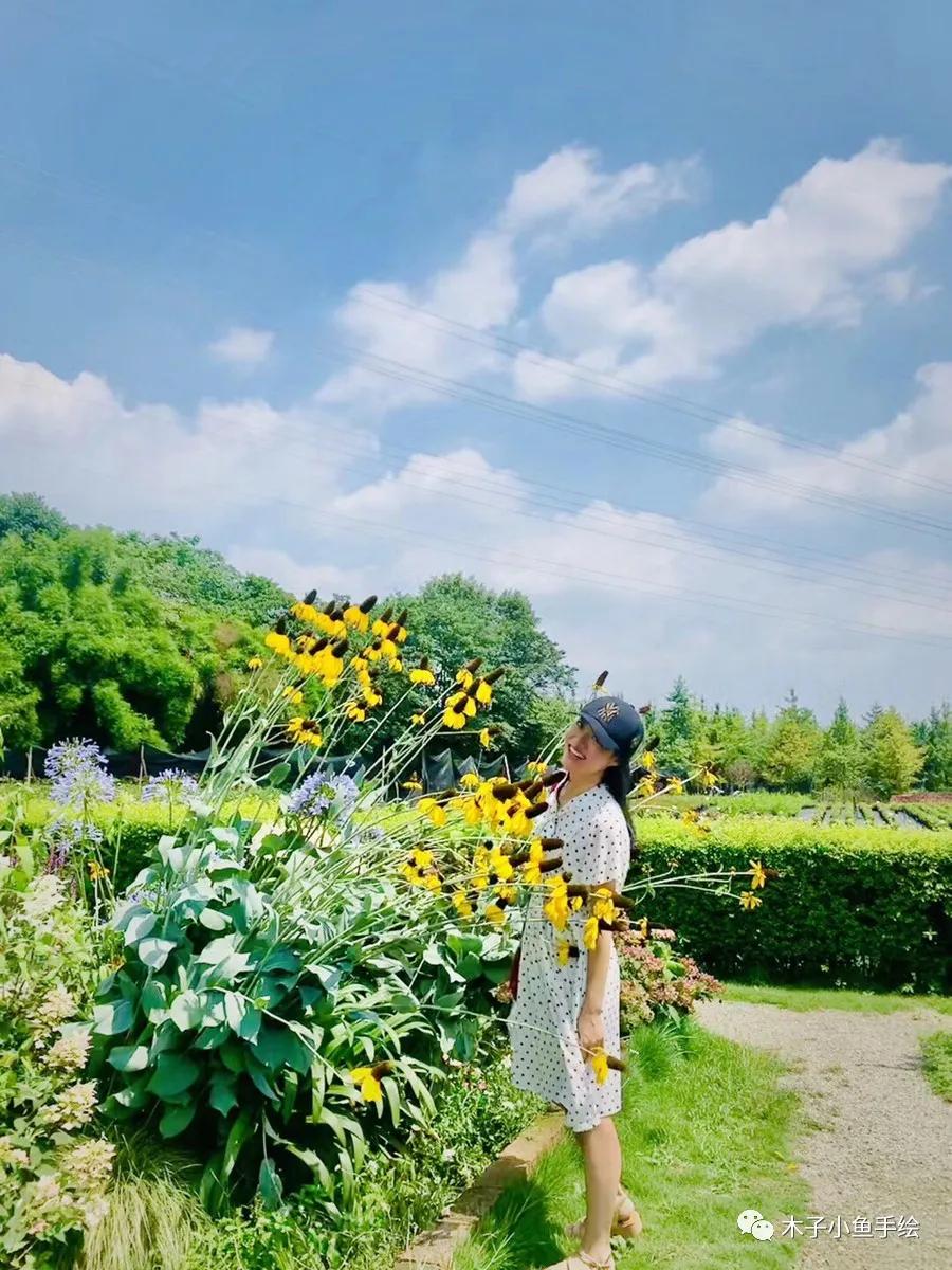 成都四季家园房价多少,四川省成都市的四季