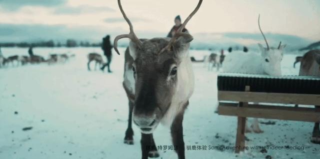 王珞丹35岁庆生照,王珞丹的生日是几月几号