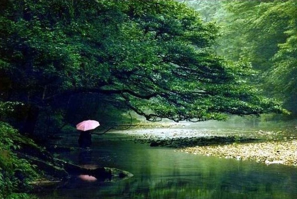 长沙到张家界旅游攻略自由行三天,长沙至张家界旅游攻略自由行三天