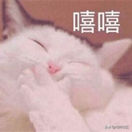 爽！化州小伙喜中“巅峰对决”10万！