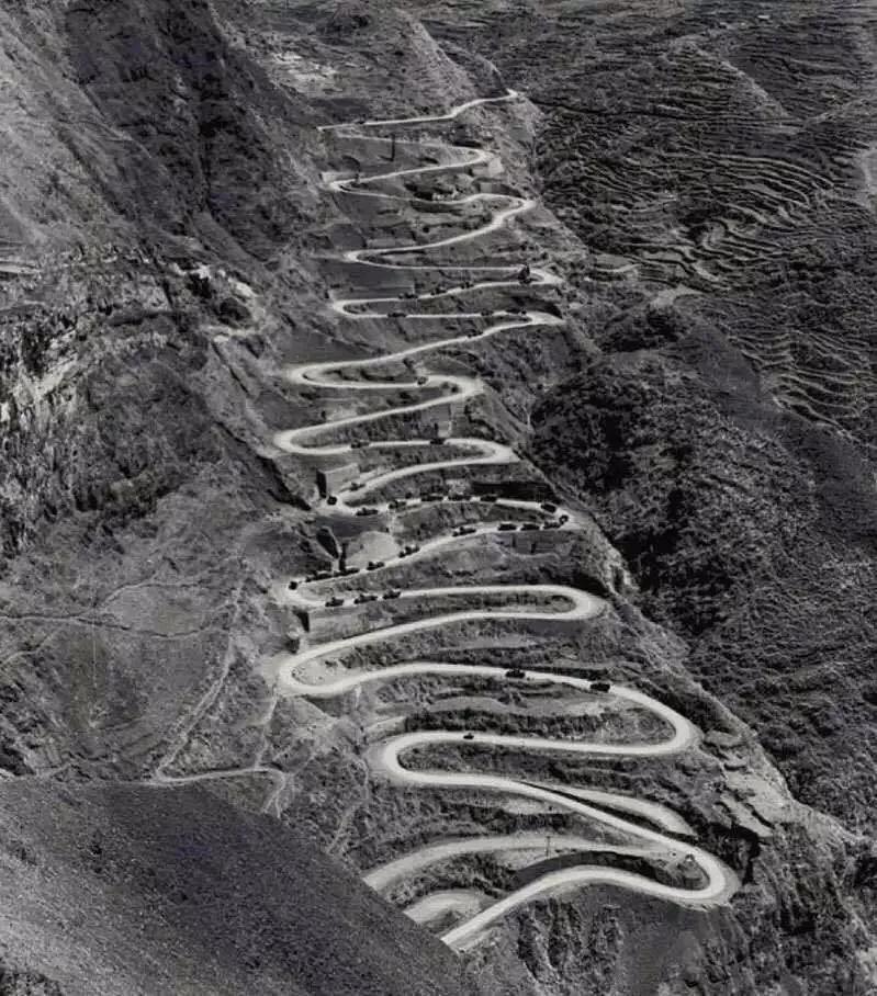 这是一个生机勃勃的地方关于它的故事才刚刚开始