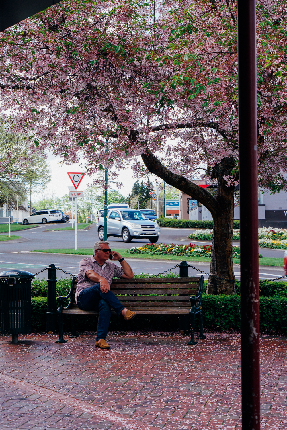 新西兰北岛值得去的地方,新西兰北岛哪里值得去