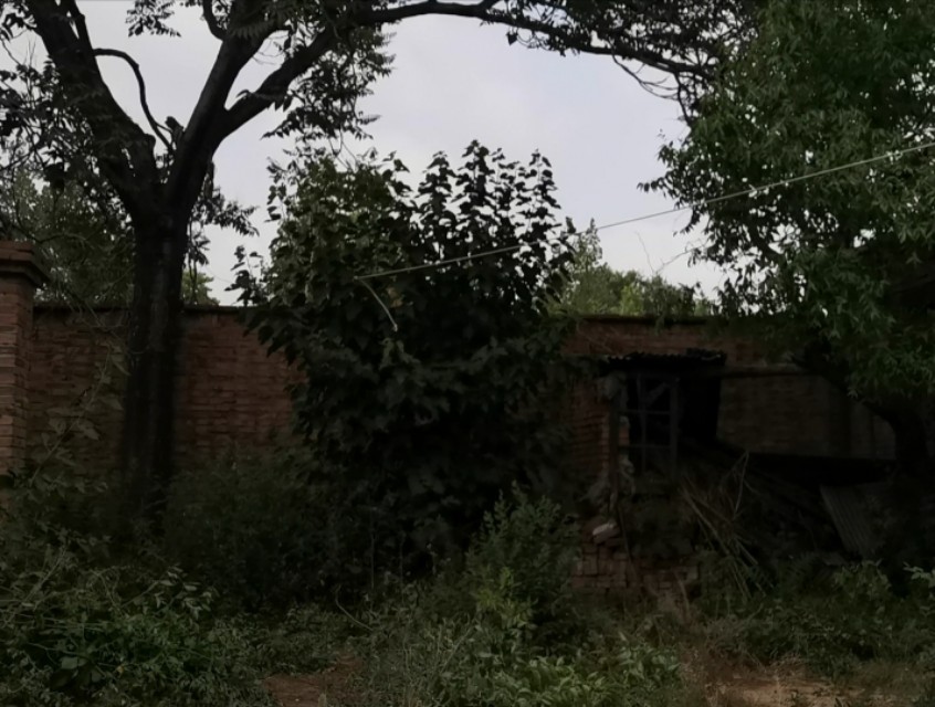 回老家陪爸爸妈妈一起过端午节,带着孩子回家陪他奶奶过端午节