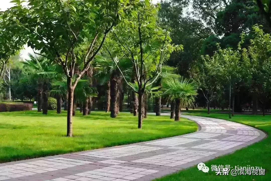 恭喜啦！天津开挂了，42个好消息集中爆发！快看看有没有你家？