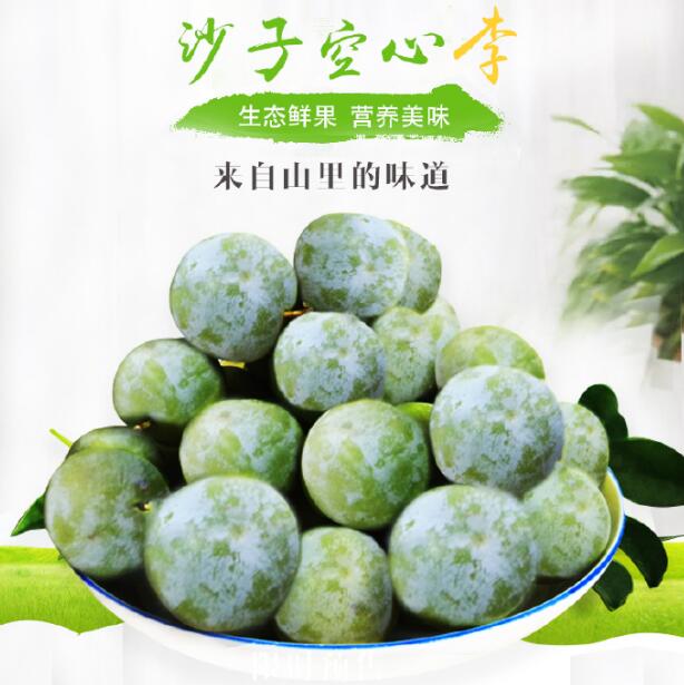 多彩贵州精品黔货沙子李电视广告宣传片登陆央视