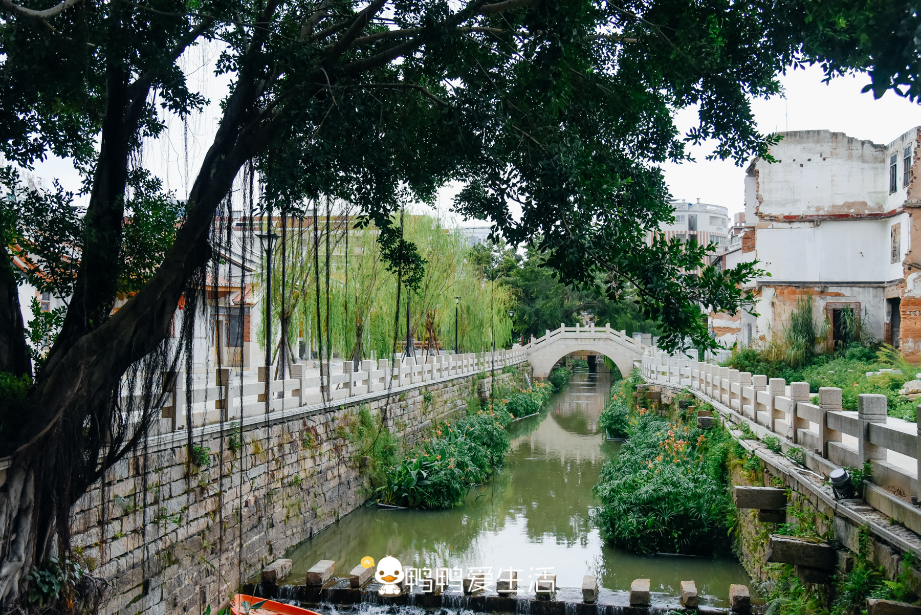 福建旅游景点免票景区,福建过年景区免票