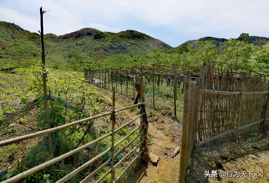 「追梦高山上的禅悟」探秘“南鳌太”越城岭，打卡鬼崽石