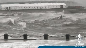 中心城区已清理305株倒伏树木，今夜大连仍风骤雨急！