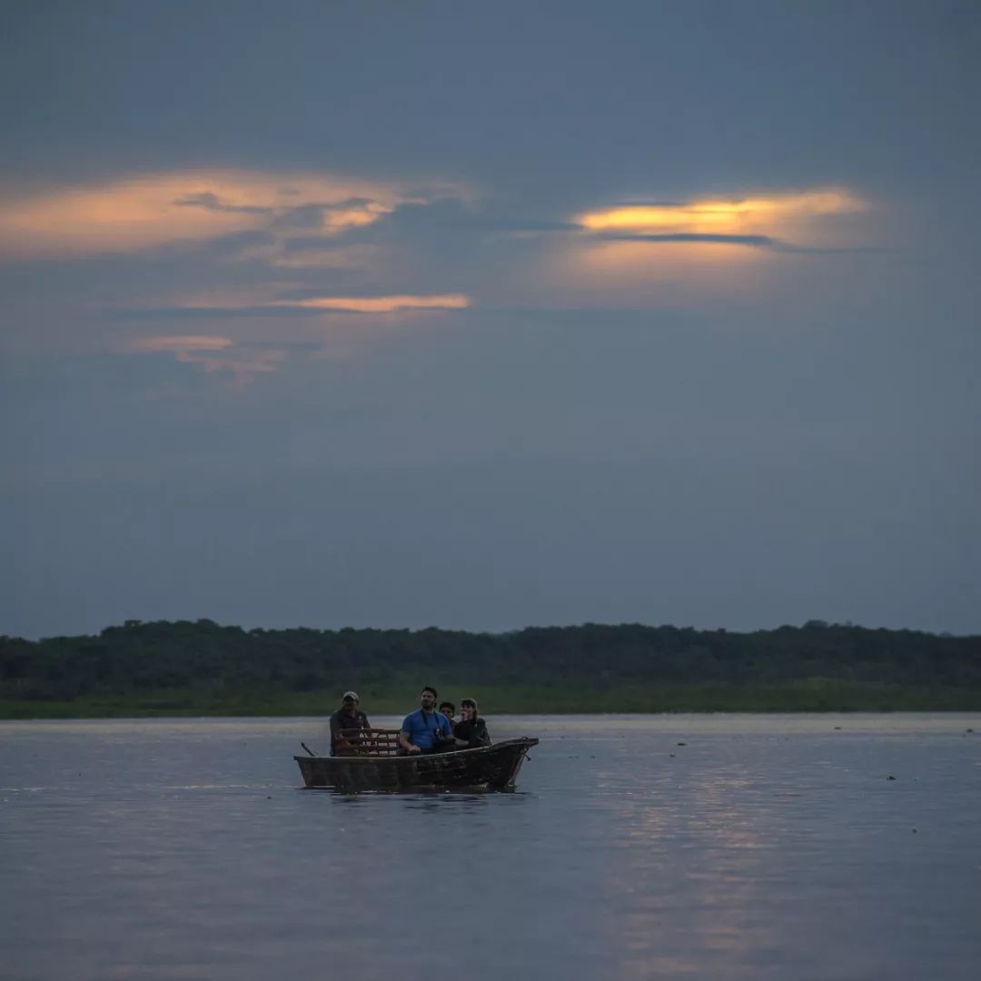 领略亚马孙百闻不如一见，随陈靖文来场视觉与思想的深度游
