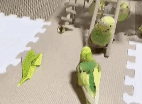 搞笑动图gif熊猫,搞笑动图gif微信表情包