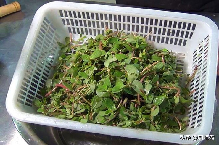 蒸马齿苋的正确做法,马齿苋用面粉蒸着吃的做法