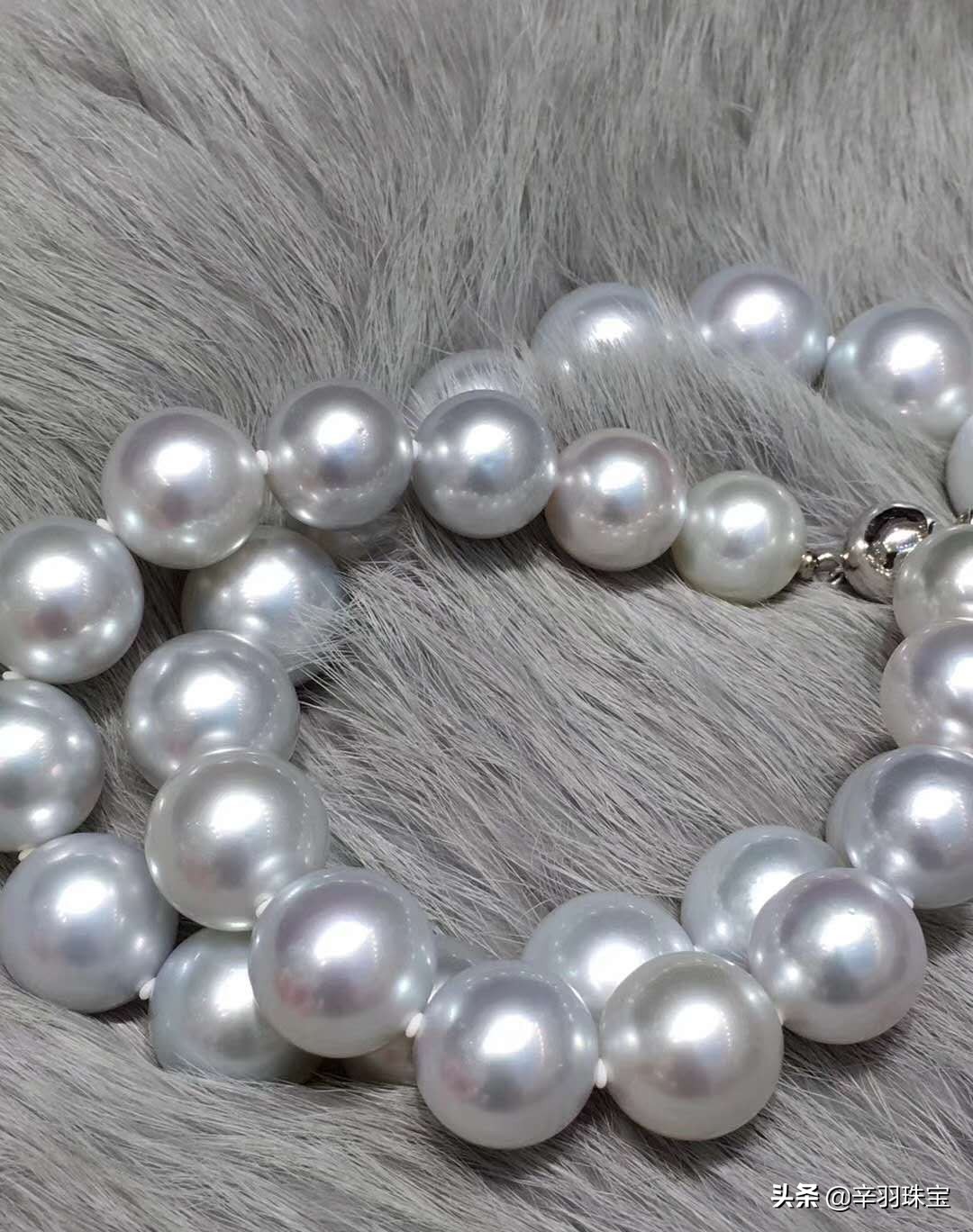 日常戴多少价位的珍珠项链,珍珠项链10-11mm正圆佩戴效果