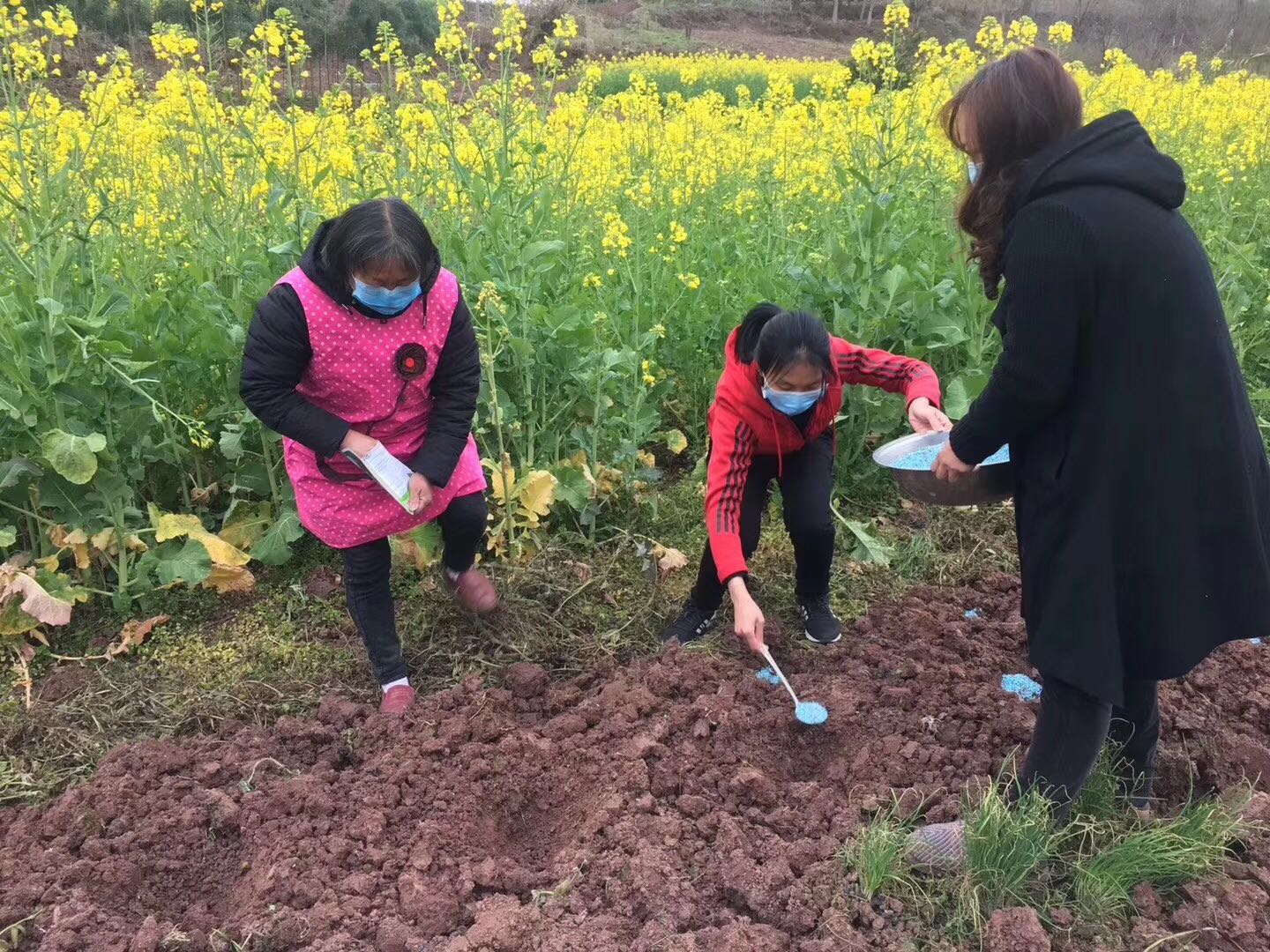 抗疫铁娘子,铁娘子朋友圈