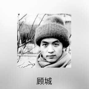 诗人30岁自尽原因,天才诗人杀妻案