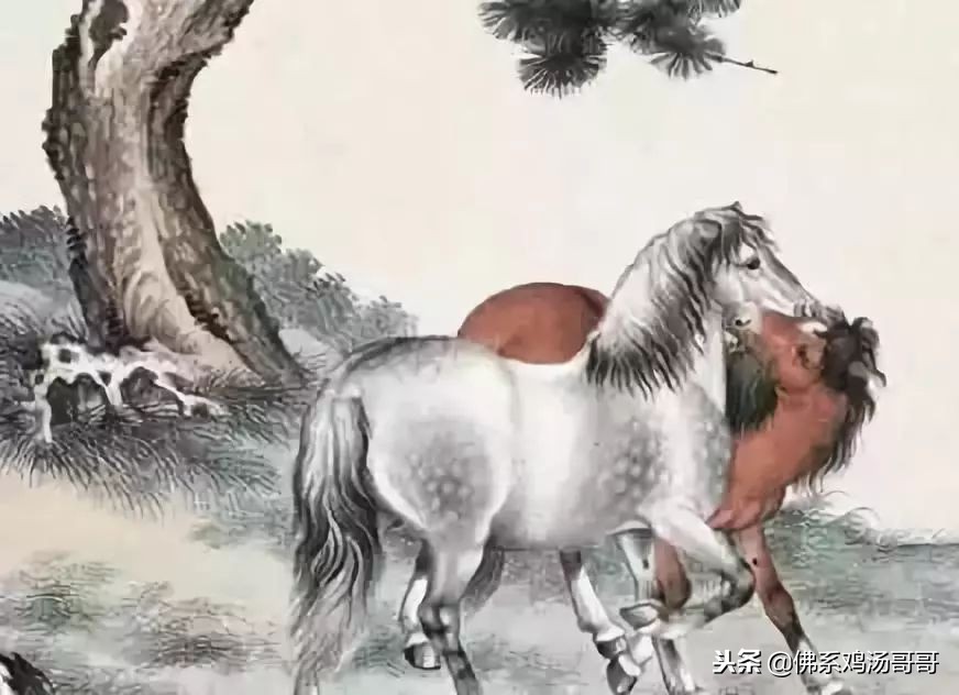 2019年运气好的属相,属相在2019年的运势