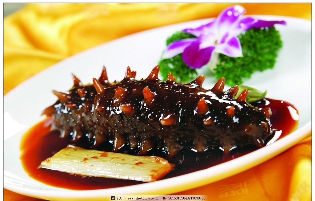 刺锅子、虾爬子、海蛎子，助力大连海味“出道”吧