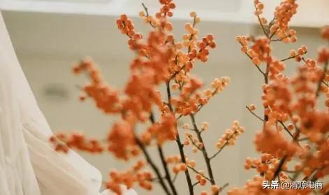 渭源农村电商公司,渭源电商平台怎么样