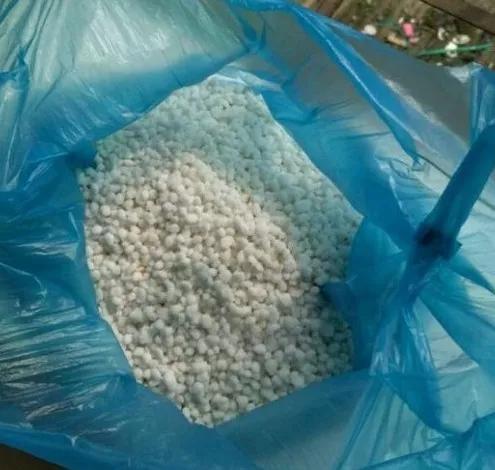 想要养好绿萝注意这几点就够了,绿萝这样养疯长如瀑布半月长爆盆