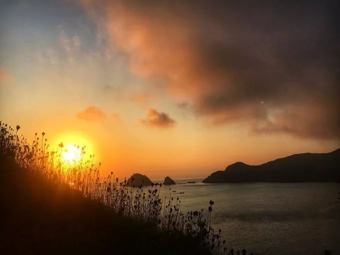 枸杞岛两天一夜最全旅游攻略,一生必去的枸杞岛