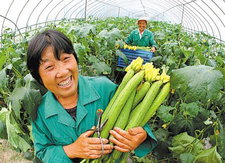 0177随笔，国庆节佳节壮丽河山美如画，集会京郊房山笔会金晟嘉