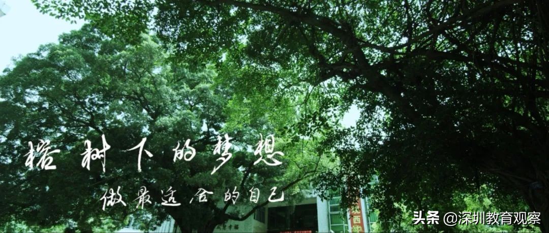 走名校vol.14|西乡中学：50年，我们专注做一件事