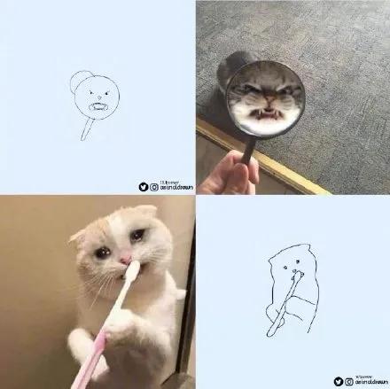 一波可爱动物简笔画,超火的简笔画动图