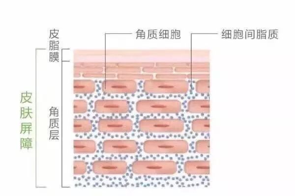 如何消除红色痘印医美,红色痘印吃什么药会消除