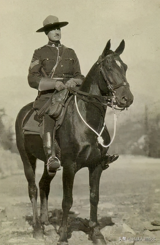 孟晚舟案真相曝光,孟晚舟事件曝光