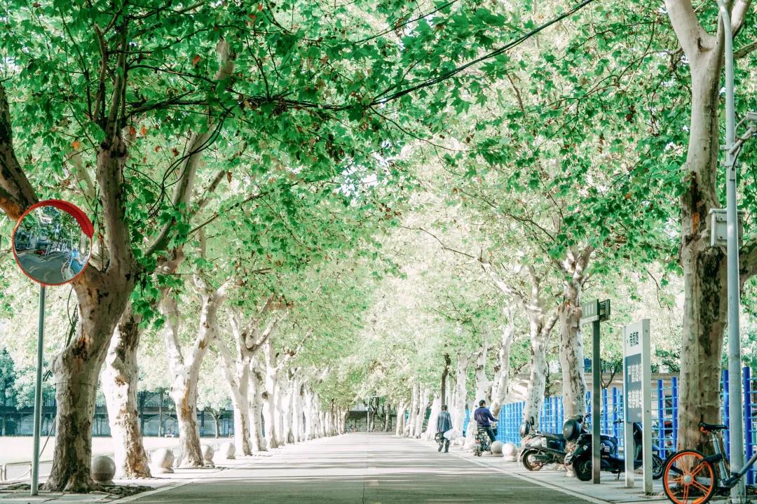 坐拥神仙颜值！原来，这就是中南大学的最美校花！