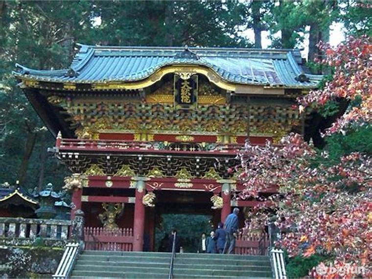 明日方舟种族考据,明日方舟考据党