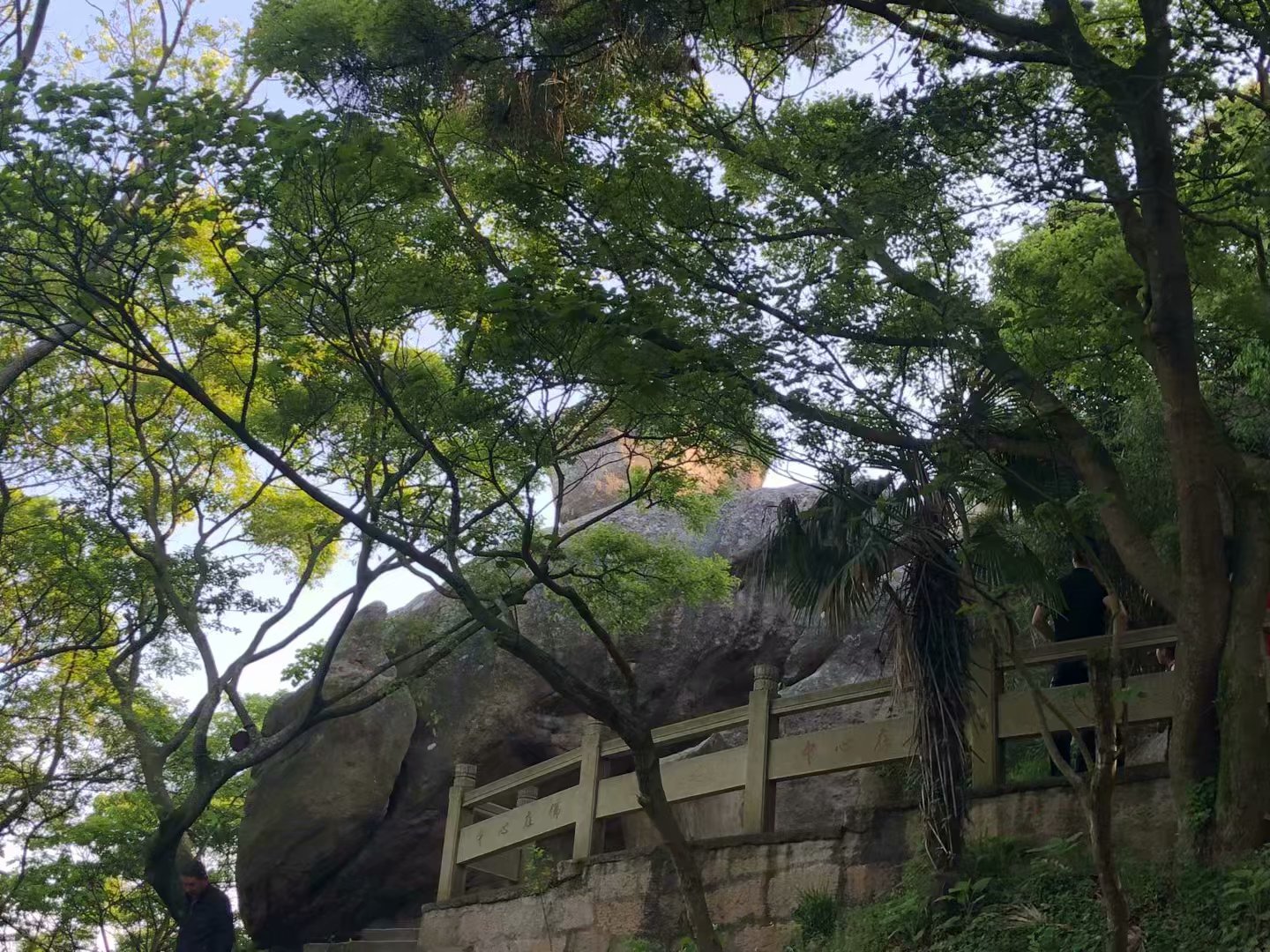 普陀山二龟听法石简介,普陀山二龟听法石位置