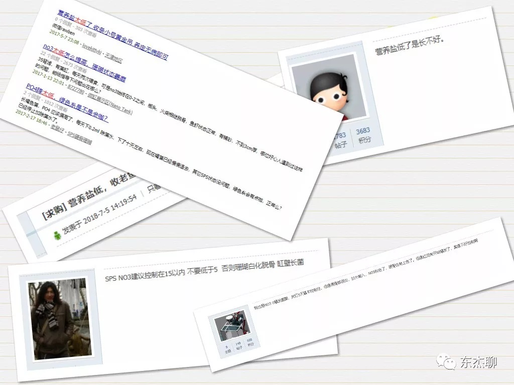 海缸营养盐过高可以换水么,海缸营养盐高能养鱼吗