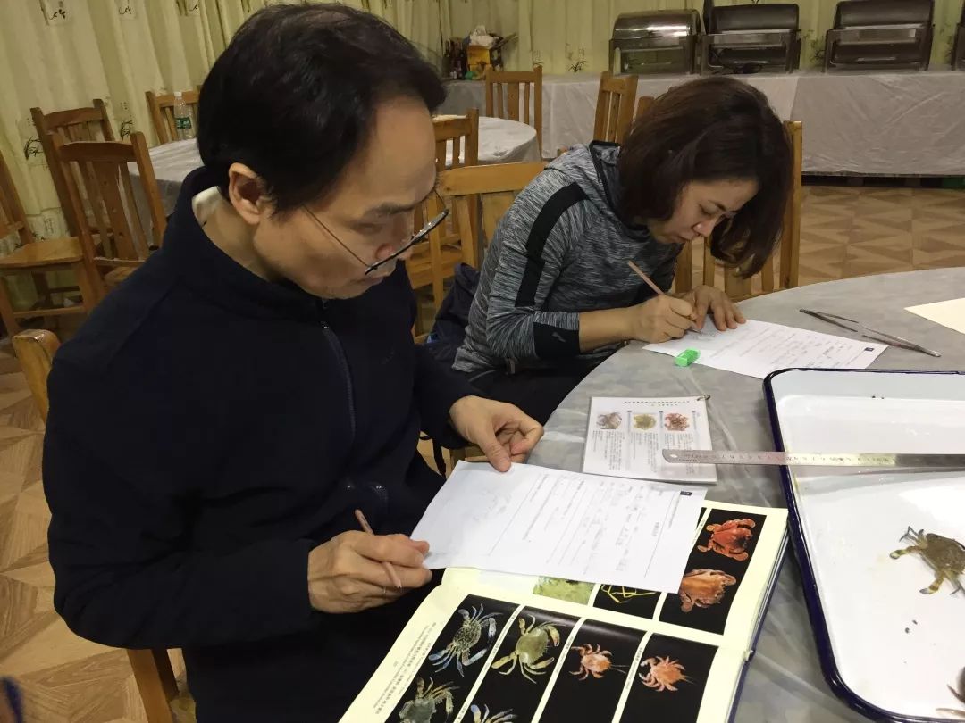 钦州三娘湾寻找白海豚,钦州三娘湾中华白海豚咬不咬人