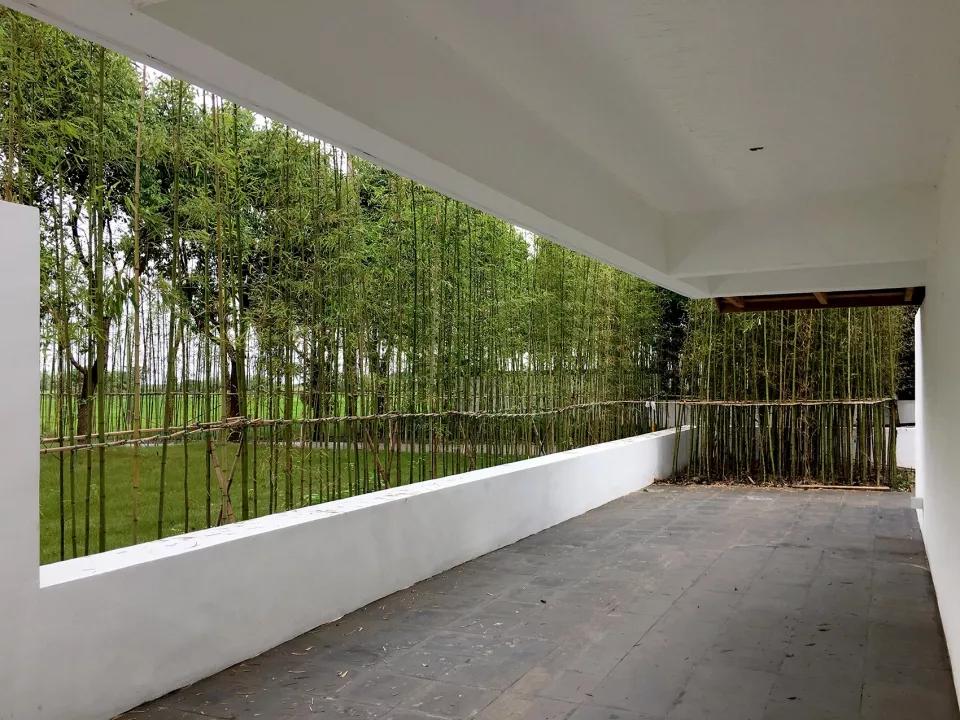 乡村振兴特点文化案例分享,关于乡村振兴比较有创意的点子