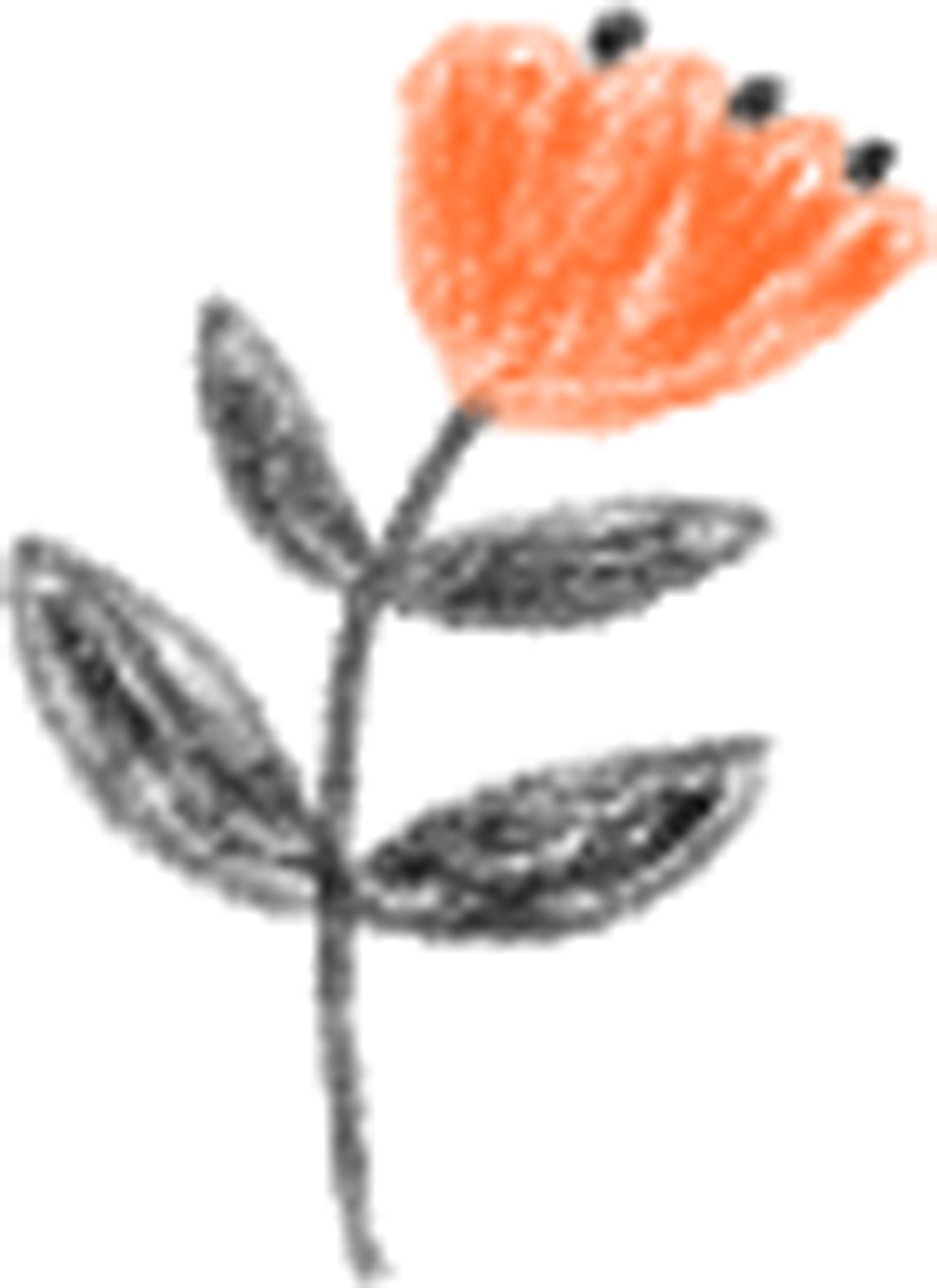 姜堰洗车场整治方案,违法洗车点整治方案