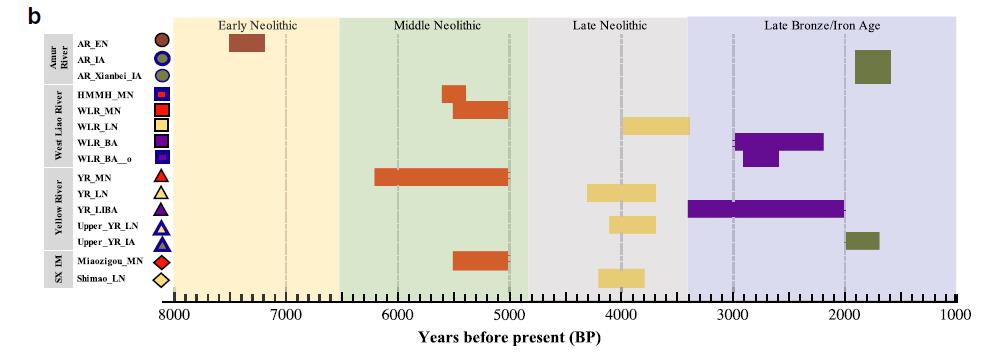 殷墟甲骨文折射商代祭祖文化,殷墟古人样本