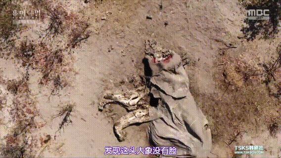 富二代儿童脊椎包,富人用小孩的脊椎做手提包