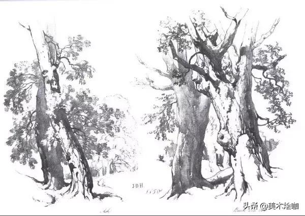 静物素描风景图临摹,简单又好画的彩铅素描风景图