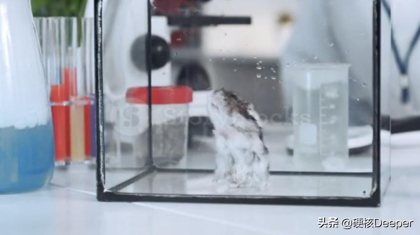 美国的冠状病毒诡计初现，隐藏在时间线背后的“灭霸响指”试验？