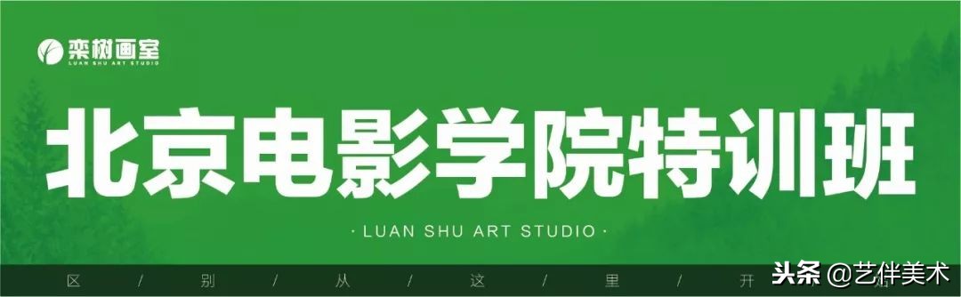栾树集训画室效果,北京栾树画室团购