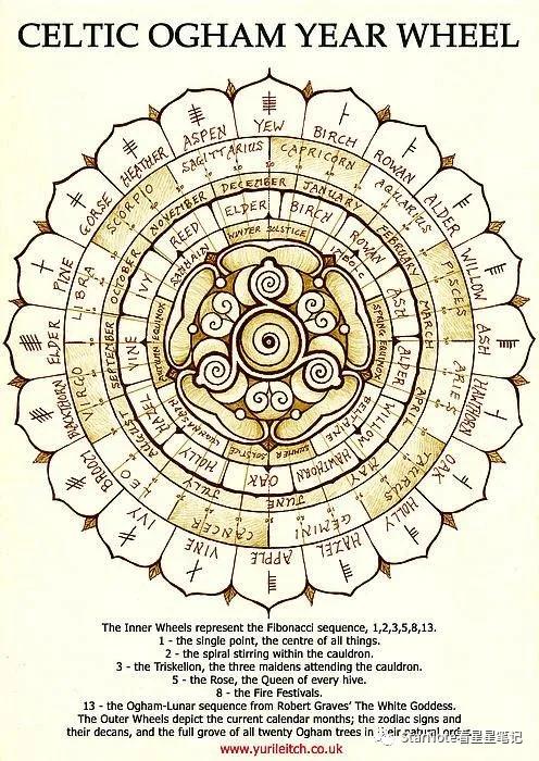 星见闻｜树也能有性格测试？一起来看看你的凯尔特生日之树（二）