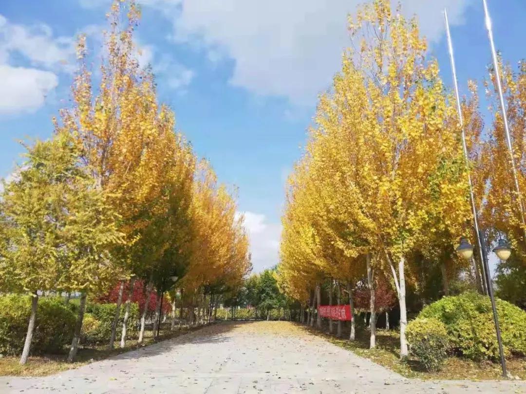 辽宁中医药大学杏林学院有独卫吗,辽宁中医药大学杏林学院属于3+2吗