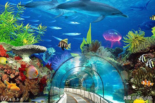 鼓浪屿最美打卡,鼓浪屿最美岛屿图片