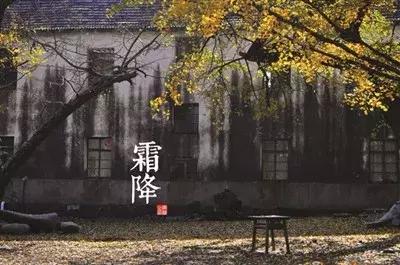 最美银杏秋景自驾攻略,杭州银杏树旅游攻略