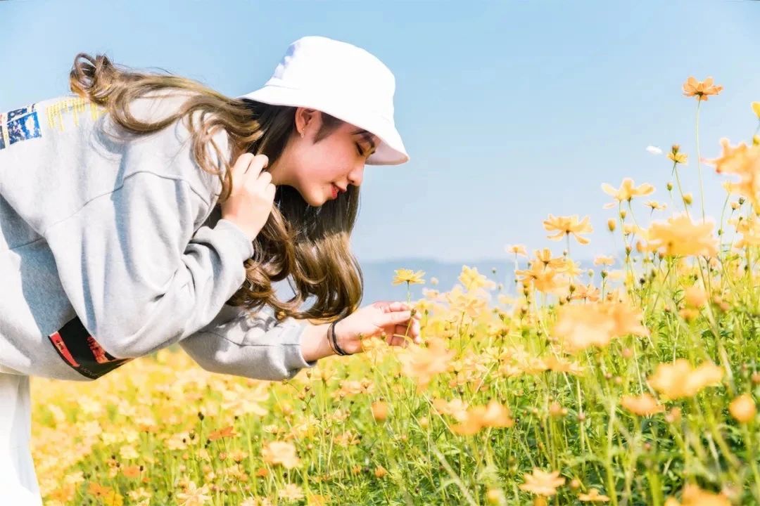 去深圳免费游玩的10个地方,深圳免费游玩景点推荐