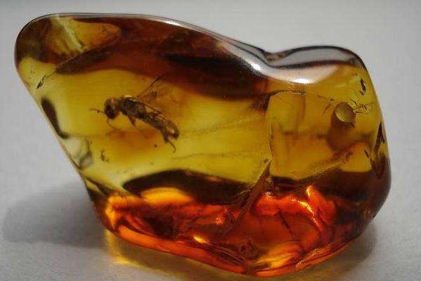 假蜜蜡都有什么类型的,假蜜蜡有树脂味道吗