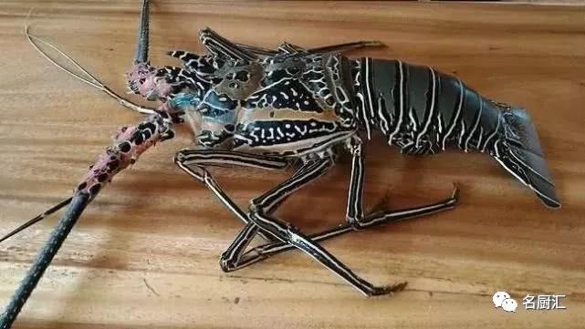 世界顶级十大海鲜,十大顶级海鲜价格排行榜