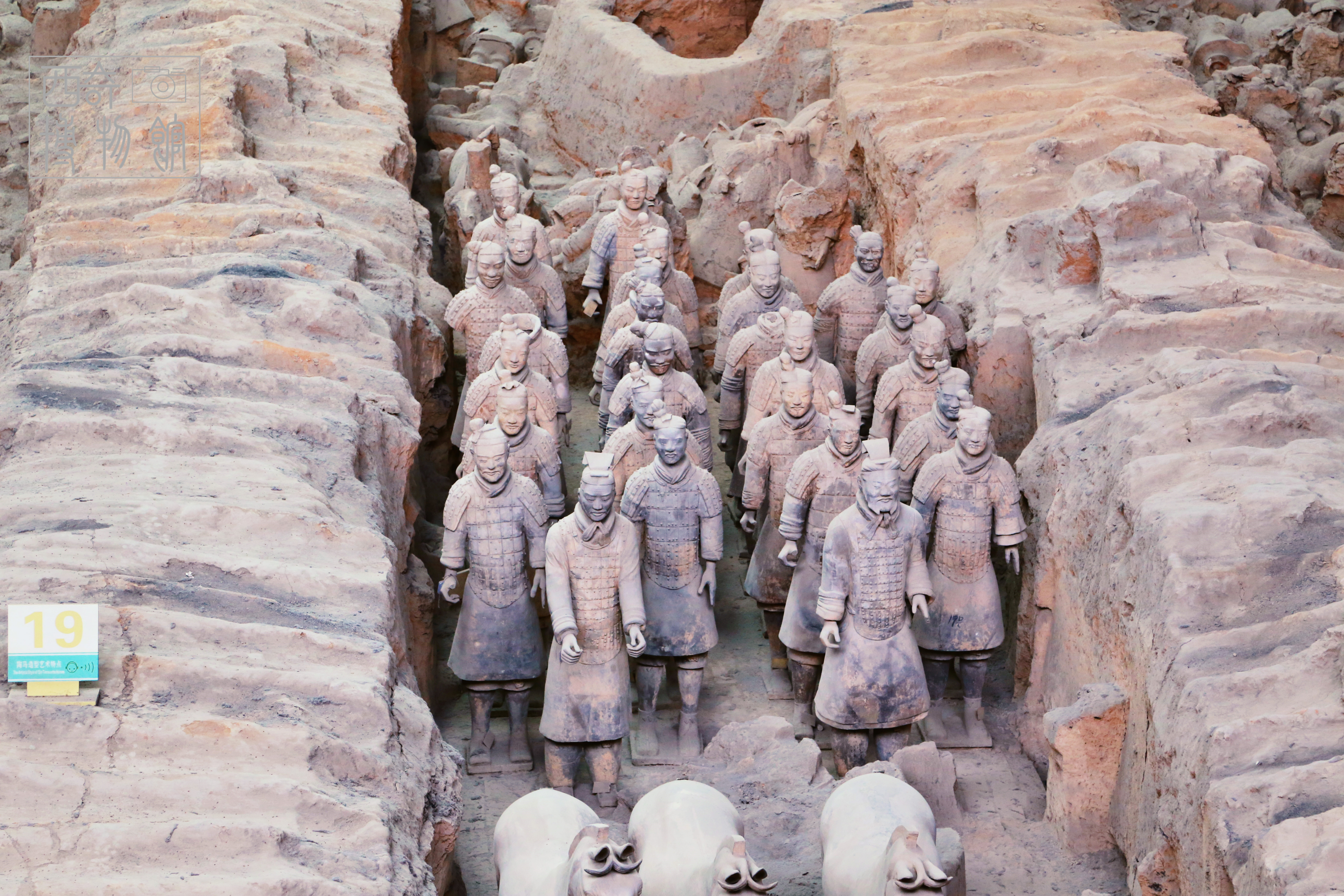 沉迷手办危害,沉迷手办无法自拔