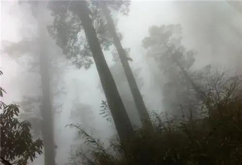 全球十大恐怖禁区有哪些,全球十大最恐怖禁区