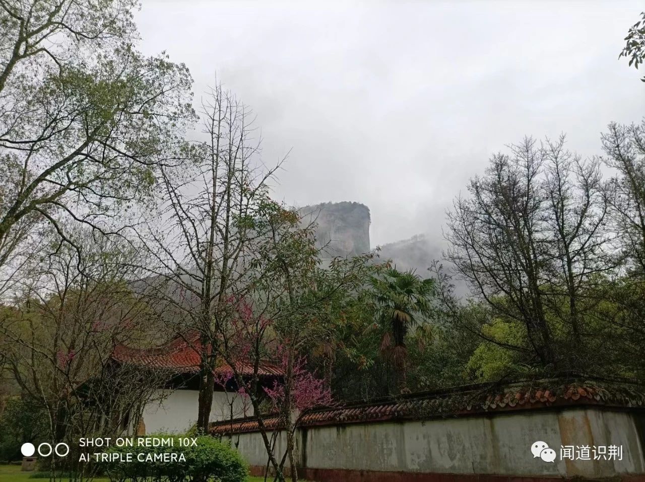 鹤冲天黄金榜上柳永全文,鹤冲天黄金榜上柳永